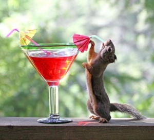 Happy-Squirrel-Driking