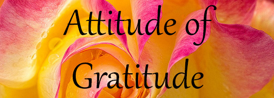 attitude-of-gratitude.jpg